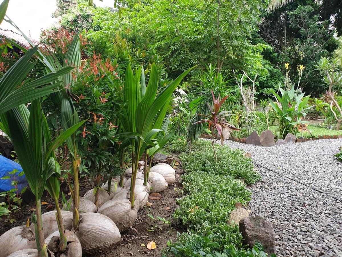 Same Same Bungalows - Eco Friendly Kuta  Extérieur photo