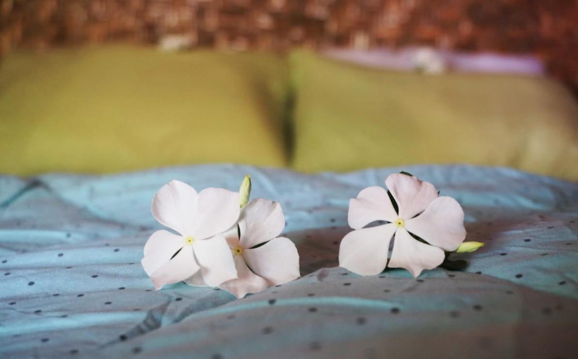 Same Same Bungalows - Eco Friendly Kuta  Chambre photo